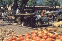 Zomba Market